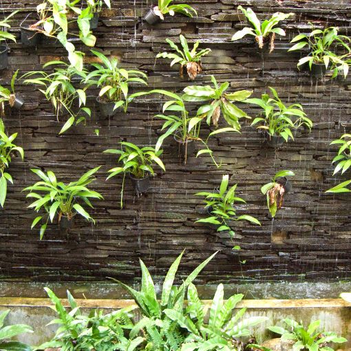 Vertical Garden